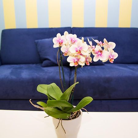 Lemon Flats Sorrento Bed & Breakfast Dış mekan fotoğraf
