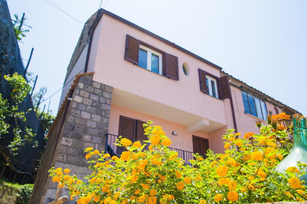 Lemon Flats Sorrento Bed & Breakfast Dış mekan fotoğraf